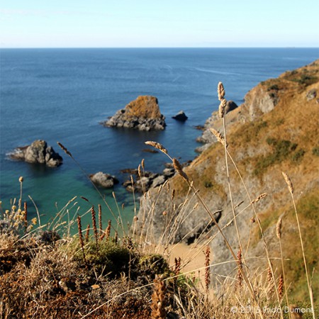 Belle-Île, Bretagne